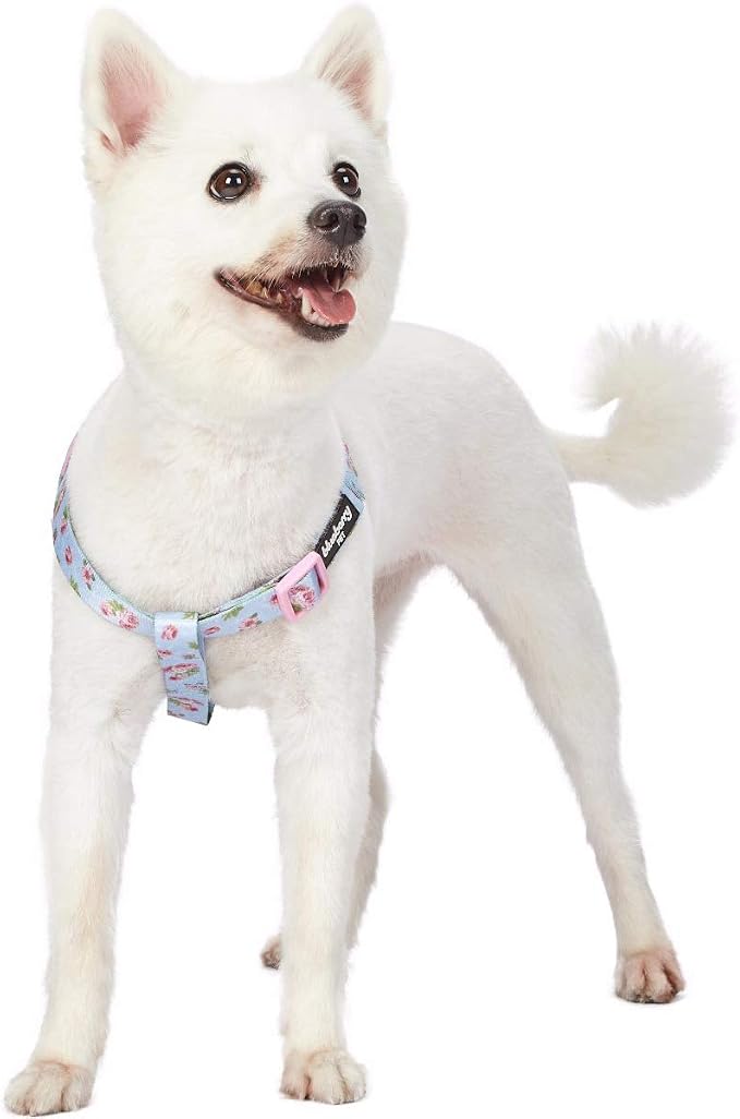 Blueberry Pet 9 Patterns Step-in Spring Scent Inspired Rose Blossom Floral Print Pastel Blue Dog Harness, Chest Girth 20" - 26", Medium, Adjustable Harnesses for Dogs