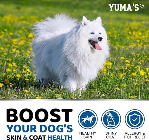 (2 Pack) Omega 3 Fish Oil for Dogs - 340 Ct - Dog Skin and Coat Supplement