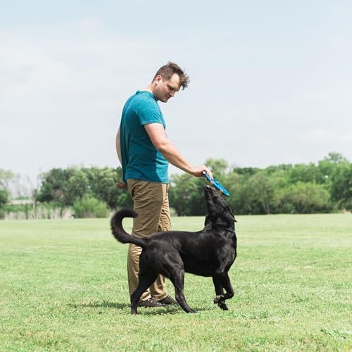 Chuckit! Whistle Flight Fetch Toy, Orange/Blue, for Medium to Large Dogs | Measures 10.6 In x 1.2 In x 11.1 In, for Medium to Large Dogs