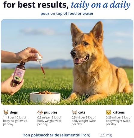 Taily AminoPets Liquid Iron Supplements for Dogs, Cats | Supports Anemia, Low Enery Levels and Lethargy | For Dogs, Puppies, Cats, and Kittens - Made in USA