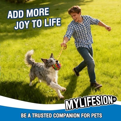 MYLIFESION Leash-Attached Snuffle Ball, Dia 6 inch Dog Treat Toy, Puppy Dog Puzzle Toy, Snuffle Ball for Dogs, Cats, Rabbits, Hamsters，Train Sense of Smell, Slow Down Their Eating Pace
