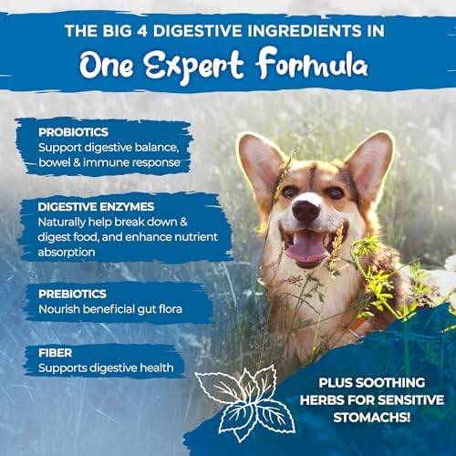 Vital Planet - Sensitive Stomach for Dogs with Enzymes, Probiotics and Fiber, Natural Digestive Support for Upset Stomach with Fennel, and Peppermint, 60 Chicken Flavored Chewable Tablets