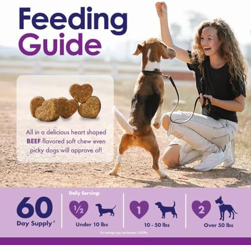 Dog Multivitamin Chewable - 22 in 1 Dog Vitamins and Supplements with Green Lipped Mussel & Omega 3 for Joints, Skin & Coat, Immune System - Senior & Puppy Multivitamin for Dogs - 60 Beef Chews