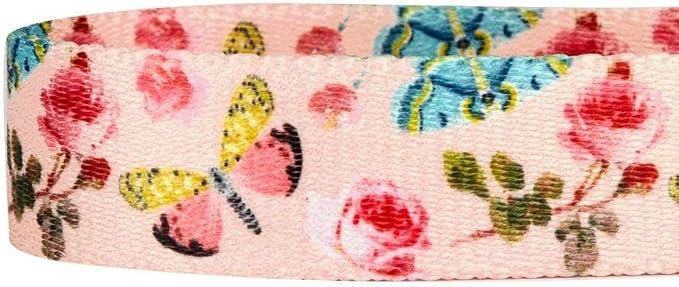 Blueberry Pet 9 Patterns Durable Spring Scent Inspired Rose and Butterfly Print Pastel Pink Dog Leash 4 ft x 1", Large, Leashes for Dogs