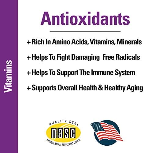Vet Classics Antioxidants Supplement with Coenzyme Q-10 for Dogs - 120 Ct