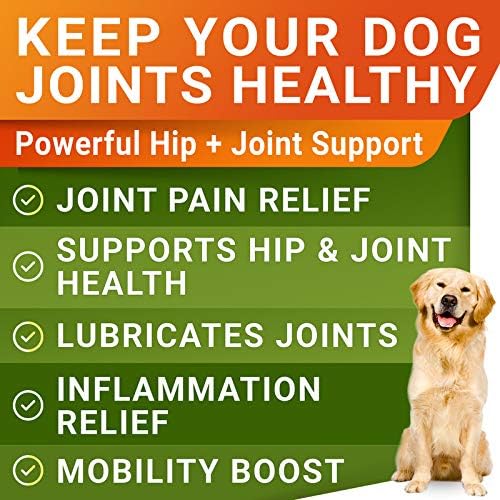Glucosamine Treats + Allergy Relief Dog Bundle - Joint Supplement w/Omega-3 Fish Oil + Itchy Skin Relief - Chondroitin, MSM + Pumpkin + Enzymes + Turmeric - Skin & Coat - 120+180 Chews - Made in USA