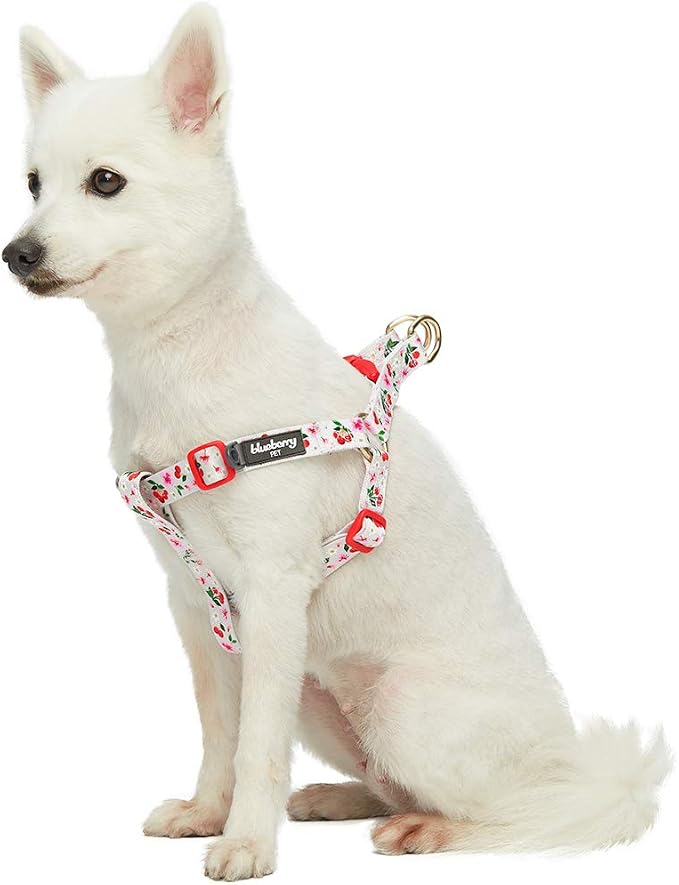 Blueberry Pet 9 Patterns Step-in Cherry Garden Grey Dog Harness, Chest Girth 20" - 26", Medium, Adjustable Harnesses for Dogs