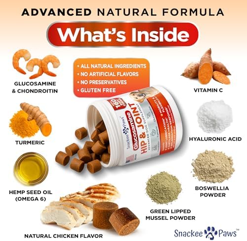 Hip and Joint Supplement for Dogs - Glucosamine for Dogs - Approx 160 Joint Pain Relief Chews - Chondroitin, MSM - Hemp Oil - Advanced Canine Health Supplement - Mobility Support Treats