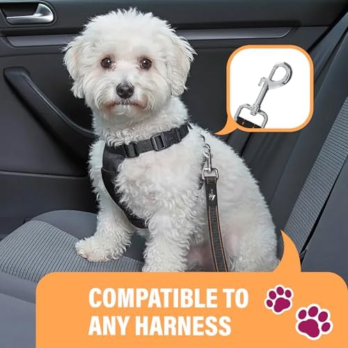 Active Pets Car Seat Belt for Dogs - Black, 2-Pack, 18-24in
