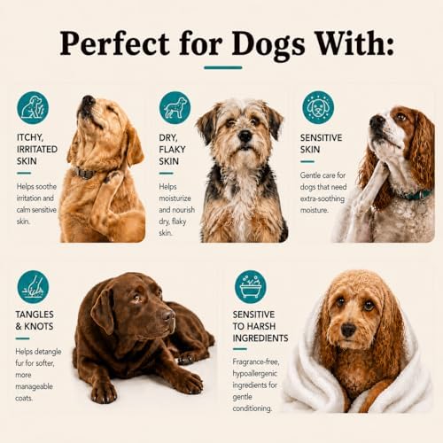 Natural Dog Company Sensitive Skin Dog Conditioner – Oatmeal Moisturizing for Sensitive & Itchy Skin, Detangling Grooming Formula for Long Haired Dogs, with Manuka Honey & Chamimile, 12 oz