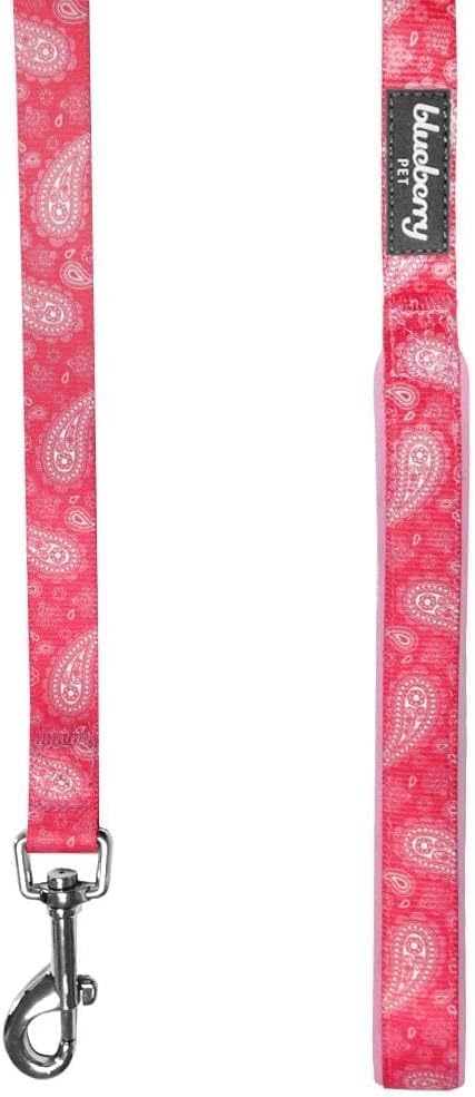 Blueberry Pet 5 Colors Paisley Flower Print Dog Leash with Soft & Comfortable Handle, 5 ft x 3/4", Pink, Medium, Leashes for Dogs