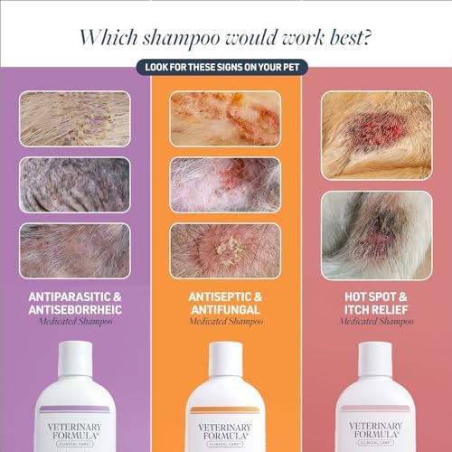 Veterinary Formula Clinical Care Antiseptic & Antifungal Shampoo, 16 oz | Medicated formula helps alleviate scaly, greasy and red skin; free from parabens, dyes and soap