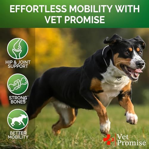 (2 Pack) Glucosamine for Dogs - 240 Ct - Hip and Joint Supplement for Dogs