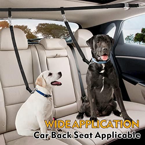 Snagle Paw Dog Leash for Truck Bed, Up to 150 lbs, for 2 Dogs