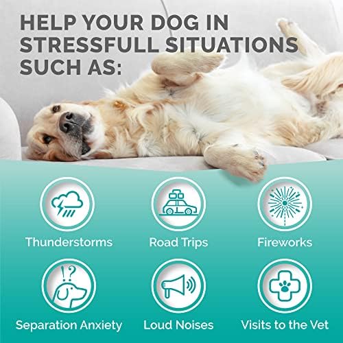 Calming Chews for Dogs, 120-Pack, 120 Count