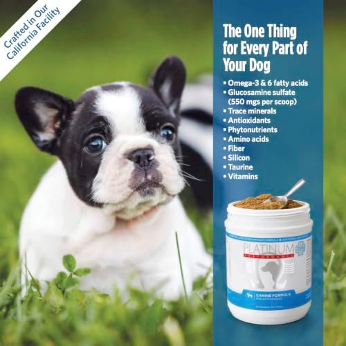 Platinum Performance® Canine PLUS | Omega-3 Wellness & Joint Support Formula for Dogs | Glucosamine Sulfate, Vitamins & Antioxidants | Dog Supplement Powder for Active & Large Breeds | 2LB | 94 Scoops