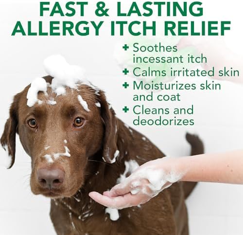 Vet's Best Allergy Itch Relief Dog Shampoo with Oatmeal, Aid Itching, 16 oz