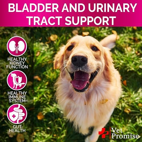 Dog UTI Chews - Cranberry Supplement for Dogs - Urinary Tract Support | Advanced Bladder Control - Cranberry Support Supplement, Vitamins Multivitamin Chews - 120 Chews - Made in USA