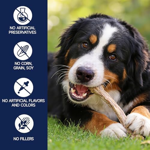 Freeze Dried Beef Ribs Dog Treats, Single Ingredient, Natural Chew Bone, Gentle on Teeth and Stomach, High Protein Training Chews with Calcium,100% New Zealand Veal Ribs, 5.29 oz