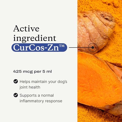 PetLab Co. Mobility Pro Oil for Dogs, Curcumin Joint Oil
