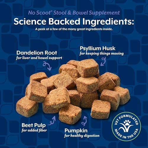 NaturVet No Scoot Stool and Bowel Supplement for Dogs - 60 Soft Chews