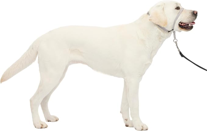 PetSafe Gentle Leader No Pull Dog Headcollar, Silver, Large | Veterinary Behaviorist-Designed No-Pull Headcollar Redirects Pulling Instinct, Padded Neoprene Nose Loop, Quick-Snap Fit