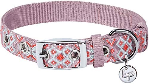 Blueberry Pet Southwestern Modern Tribal Print Thistle Braided Adjustable Dog Collar with Metal Buckle, Neck 13-16.5", for Medium Breed