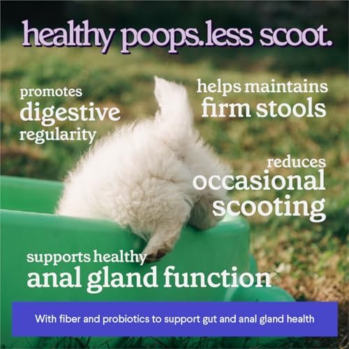 Premium Anal Gland Support Supplement - Dog Anal Gland Treatment With Fiber & Pumpkin for Dogs – Prevents Scooting, Supports Digestion & Anal Gland Health – Probiotics, Enzymes & Psyllium Husk –3.20oz