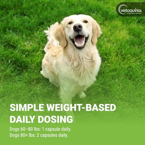 Vetoquinol Triglyceride Omega - Fish Oil for Dogs & Cats - Supports Healthy Skin, Coat & Normal Immune Response - Supplement with Vitamin Blend for Heart, Eye, Bone & Muscle Support - 250 Capsules