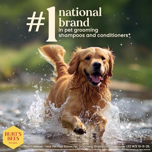 Burts Bees for Pets Oatmeal Dog Shampoo with Honey, 16 Fl Oz, 6-Pack | Soothing colloidal oat flour formula for itchy, sensitive dog skin, pH-balanced and sulfate-free for regular use
