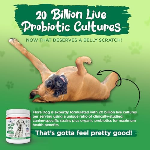 Vital Planet - Flora Dog Probiotic Powder Supplement with 20 Billion Cultures and 10 Strains, High Potency Immune and Digestive Support Probiotics for Dogs, 7.84 oz., 222 Grams, 60 Servings