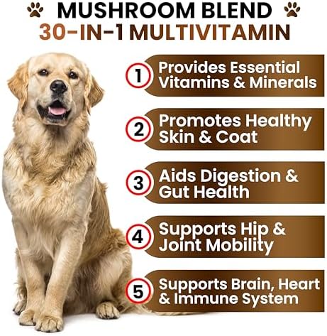 Turkey Tail Mushroom Supplement for Dogs - Mushrooms for Dogs - 170 Chews | Reishi, Lion’s Mane, Glucosamine Multivitamin - Immune Booster, Gut, Hip & Joint Health Support Vitamins, Energy & Skin