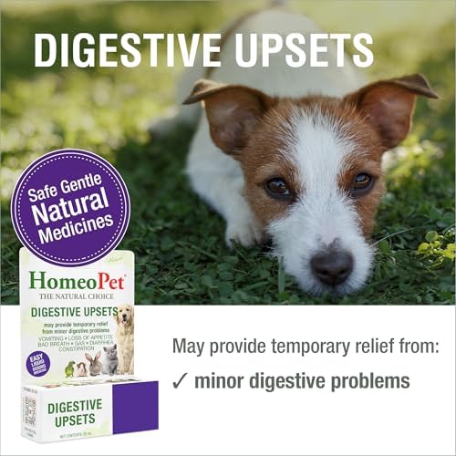 HomeoPet Digestive Upsets, Supplement for Dogs and Cats, 15 Milliliters