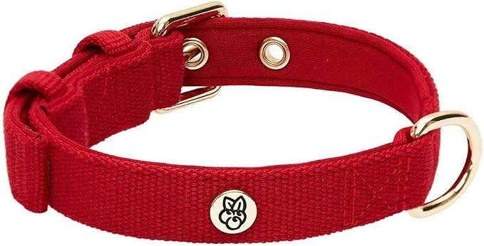 Blueberry Pet Classic Red Dog Leash & Collar Set, Puppy Essentials, Large Size, 4 ft Rope Leash, Neoprene Padded, Gentle Leader for Dogs, Heavy Duty Dog Leashes