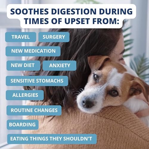 Under the Weather Easy to Digest Bland Diet for Sick Dogs - Always Be Ready - Contains Electrolytes - Gluten Free, All Natural, Freeze Dried 100% Human Grade Meats - 6 Pack Chicken, Rice & Bone Broth