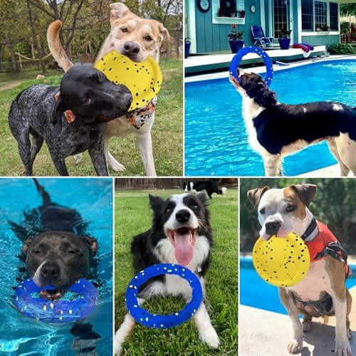 BABORUI Floating Dog Pool Toy, Blue Ring & Yellow Plate