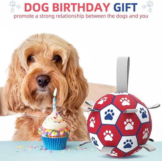 Diman Dog Balls,6 Inch Balls for Dogs with Straps, Dog Soccer Ball, Red | Dog Toy Balls for Small Medium Dogs, Outdoor Dog Toys, Dog Pool Water Toys,Puppy Toys to Keep Them Busy, Puppy Birthday Gifts