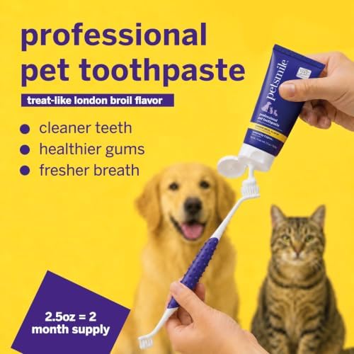 Petsmile VOHC Accepted Pet Toothpaste, London Broil 2.5 Oz, Cats + Dogs | VOHC Accepted, Calprox® Powered, Fights Plaque + Tartar, No-Brush Required, Human-Grade, 4-Month Supply, Clinically Proven