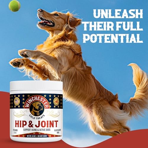 Hip & Joint Dog Supplement: All-Natural 120 Count Soft Chew Treat with Glucosamine, Chondroitin, MSM, Turmeric, Collagen, Vitamins C & E; Perfect for Large & Small Dogs; Made in USA by Winchester Gold