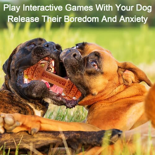 Dog Chew Toys for Aggressive Chewers,Food Grade Non-Toxic Dental Pet Toy,Tough Durable Indestructible Dog Toys for XSmall Dogs.Orange（5IB-8IB）