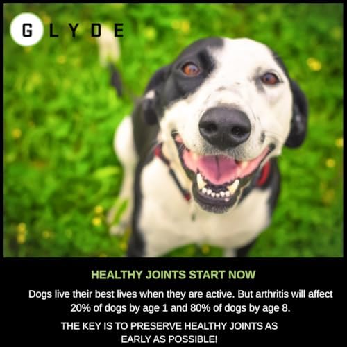 Glyde Hip & Joint Supplement for Senior Dogs, Mobility Support, 60 Chews