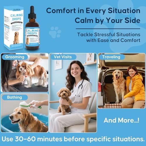 Calming Drops for Dogs with Melatonin