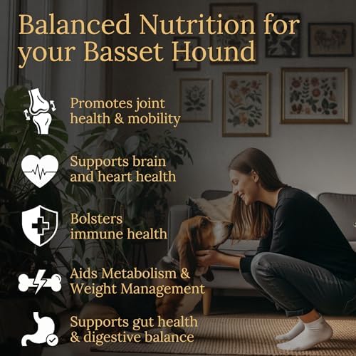 Basset Hound Multivitamins, 90 Count, Made in the USA with Real Bacon.