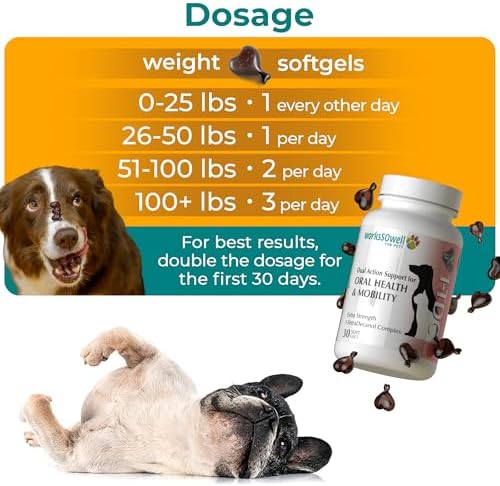 1TDC WorksSoWell Dual Action Hip and Joint Supplement for Dogs & Cats - for Large & Small Breed - Great for Oral Health, Stamina Recovery & Arthritis Pain Relief -30 ct
