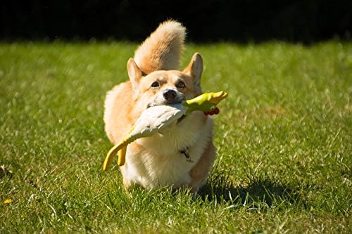 Petface Latex Chicken Dog Toy, Large