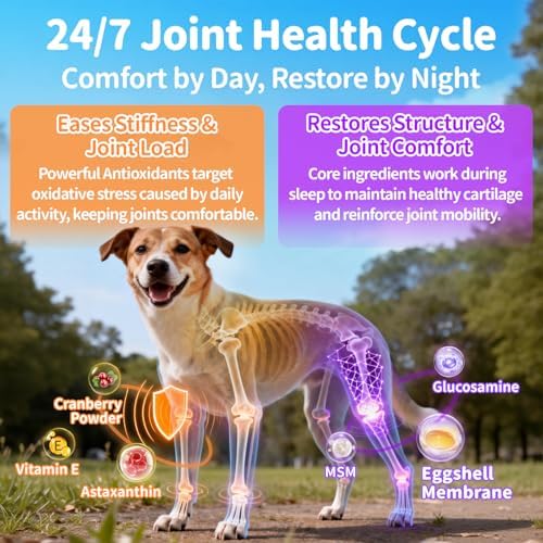 Dog Vitamins and Supplements - Day & Night 2 Pack, Chicken, 150 Scoops | Dog Multivitamin Powder with Collagen, Glucosamine, Probiotics - Joint, Gut, Calm, Skin & Immune Support