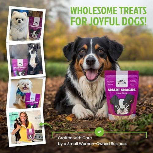 Freeze Dried Dog Treats - Single Ingredient Beef- Healthy, High Value - Freeze Dried Dog Food - Made in the USA – 4 Ounce