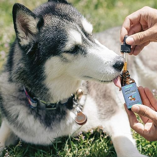 WONDER PAWS Melatonin Superhero Drops Plus Omega Max Fish Oil - for Dog’s Relaxation, Skin and Joint Care & Immune Support – Melatonin 2 Ounces - Omega Max 16 Ounces