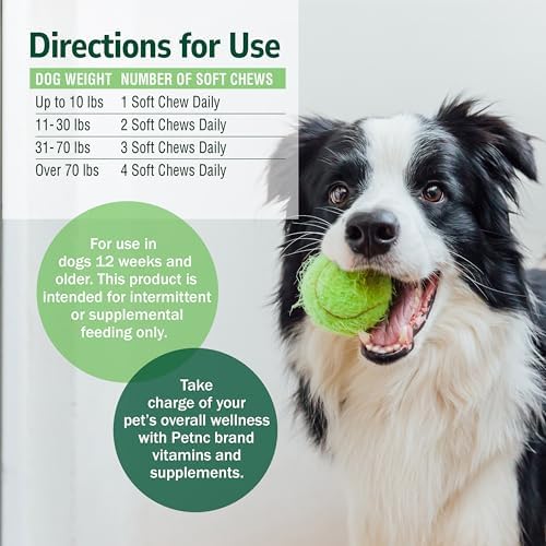 PetNC Natural Care Liver Flavor,Cheese Pre & Probiotic Soft Chews for Dog 120 ct (Pack of 1) (Packaging May Vary)