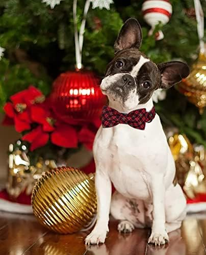 Lionet Paws Christmas Dog Collar with Bowtie, Dog Bowtie Collar with Metal Buckle for Dogs, Adjustable Comfortable Dog Collar Girl Boy Gift, XL, Neck 16-26 in